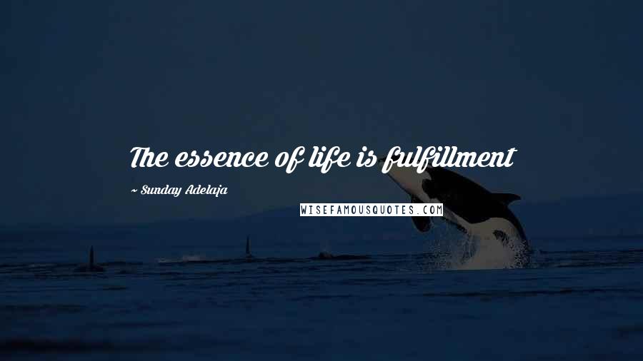 Sunday Adelaja Quotes: The essence of life is fulfillment