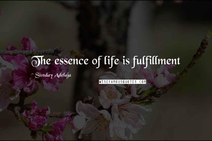 Sunday Adelaja Quotes: The essence of life is fulfillment
