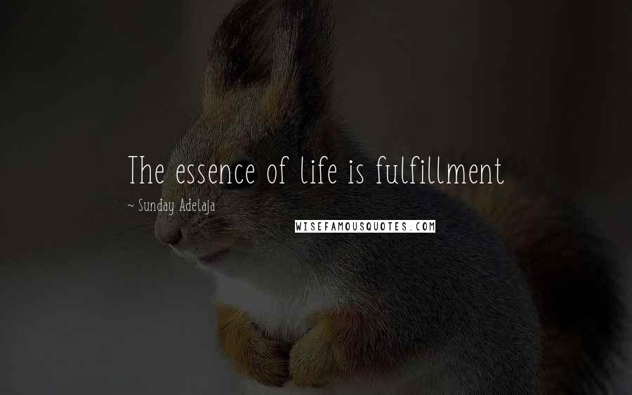 Sunday Adelaja Quotes: The essence of life is fulfillment
