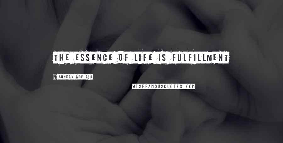 Sunday Adelaja Quotes: The essence of life is fulfillment