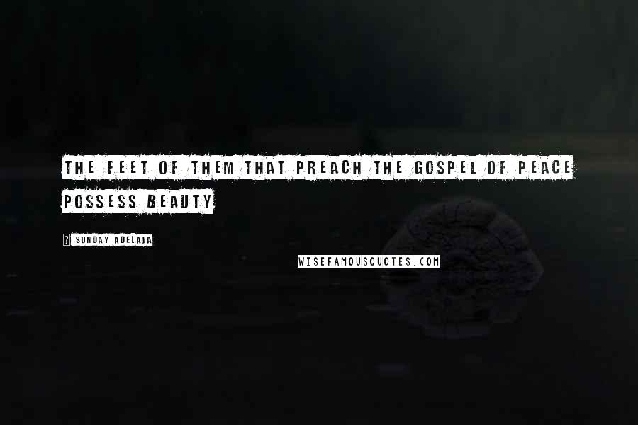 Sunday Adelaja Quotes: The feet of them that preach the gospel of peace possess beauty