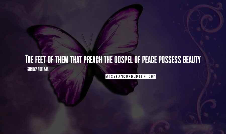 Sunday Adelaja Quotes: The feet of them that preach the gospel of peace possess beauty