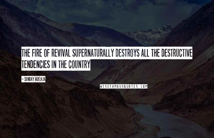 Sunday Adelaja Quotes: The fire of revival supernaturally destroys all the destructive tendencies in the country