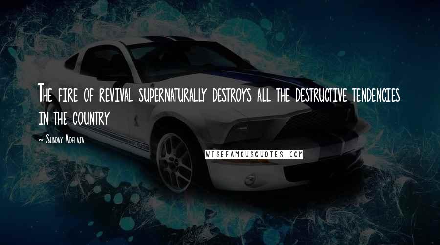 Sunday Adelaja Quotes: The fire of revival supernaturally destroys all the destructive tendencies in the country