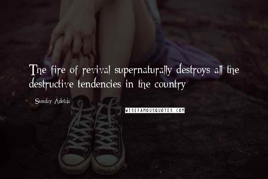Sunday Adelaja Quotes: The fire of revival supernaturally destroys all the destructive tendencies in the country
