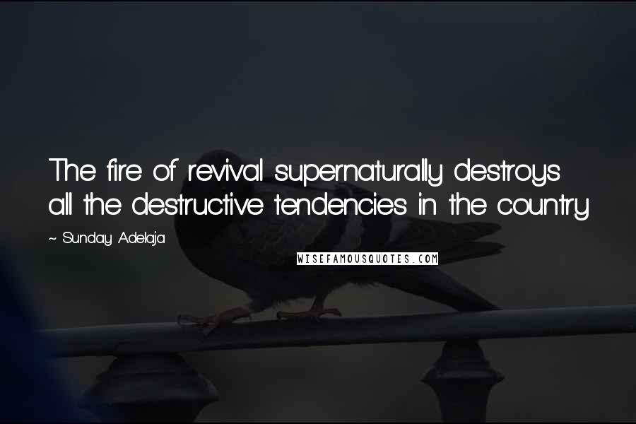 Sunday Adelaja Quotes: The fire of revival supernaturally destroys all the destructive tendencies in the country