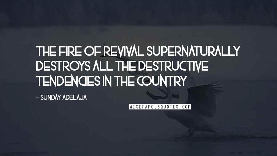Sunday Adelaja Quotes: The fire of revival supernaturally destroys all the destructive tendencies in the country