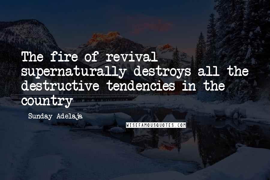 Sunday Adelaja Quotes: The fire of revival supernaturally destroys all the destructive tendencies in the country