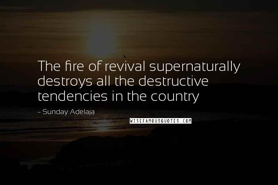 Sunday Adelaja Quotes: The fire of revival supernaturally destroys all the destructive tendencies in the country