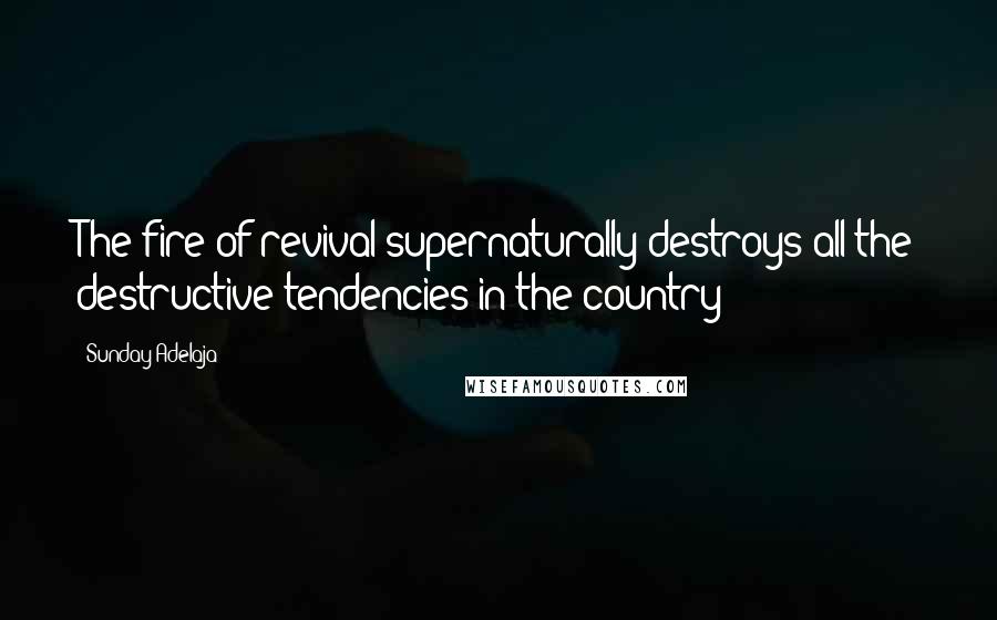 Sunday Adelaja Quotes: The fire of revival supernaturally destroys all the destructive tendencies in the country