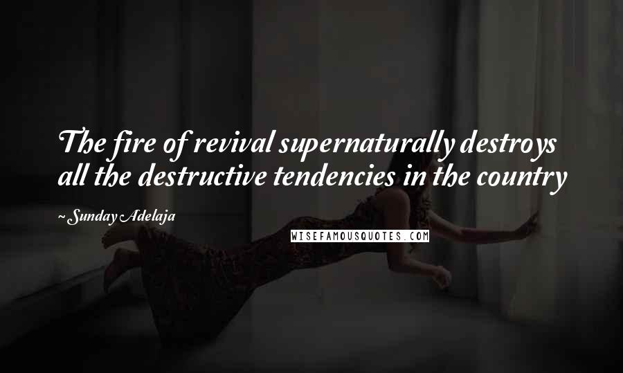 Sunday Adelaja Quotes: The fire of revival supernaturally destroys all the destructive tendencies in the country