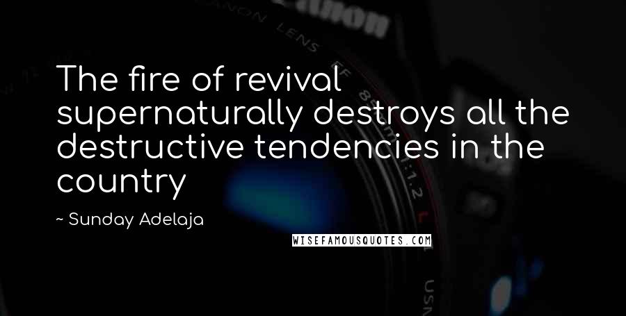 Sunday Adelaja Quotes: The fire of revival supernaturally destroys all the destructive tendencies in the country