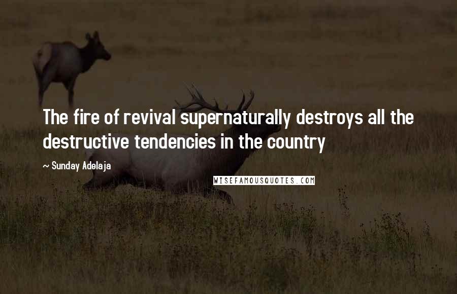 Sunday Adelaja Quotes: The fire of revival supernaturally destroys all the destructive tendencies in the country