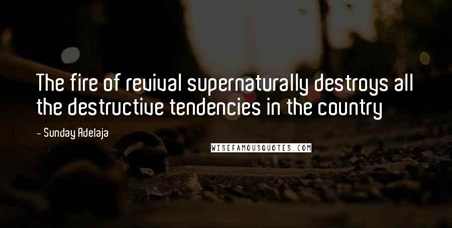Sunday Adelaja Quotes: The fire of revival supernaturally destroys all the destructive tendencies in the country