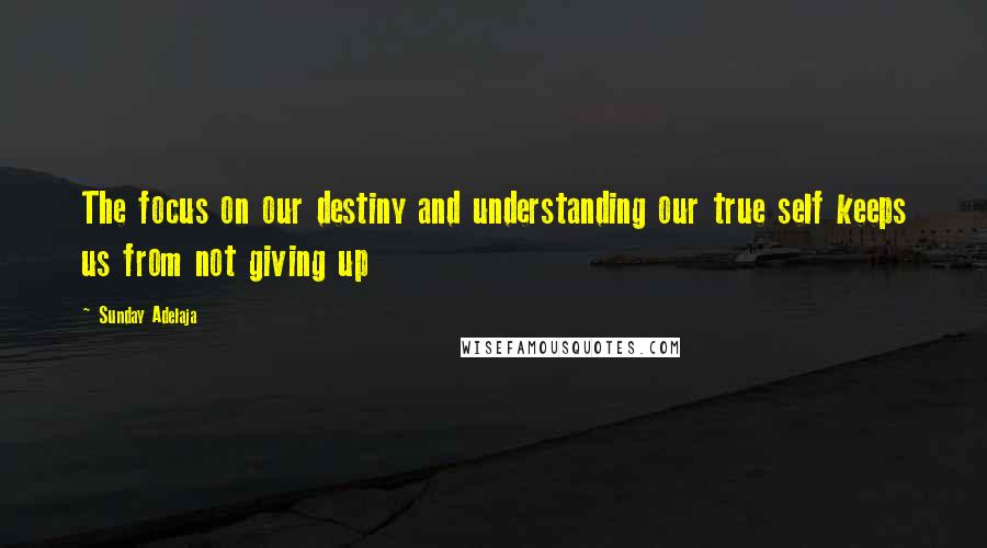 Sunday Adelaja Quotes: The focus on our destiny and understanding our true self keeps us from not giving up