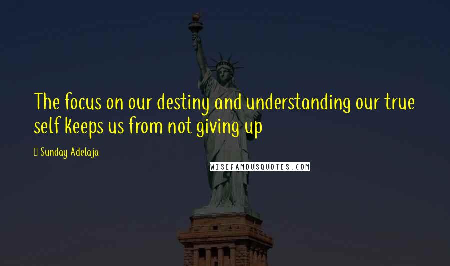 Sunday Adelaja Quotes: The focus on our destiny and understanding our true self keeps us from not giving up