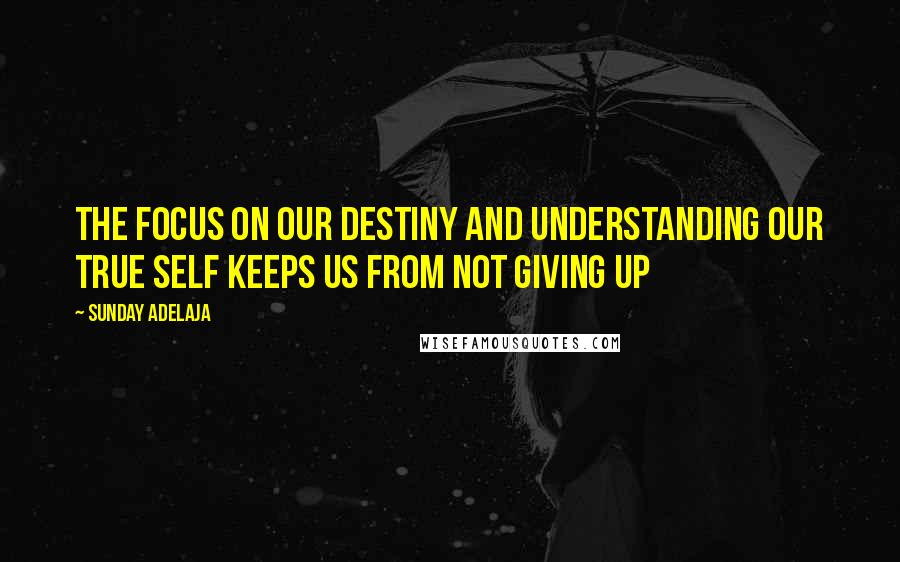 Sunday Adelaja Quotes: The focus on our destiny and understanding our true self keeps us from not giving up