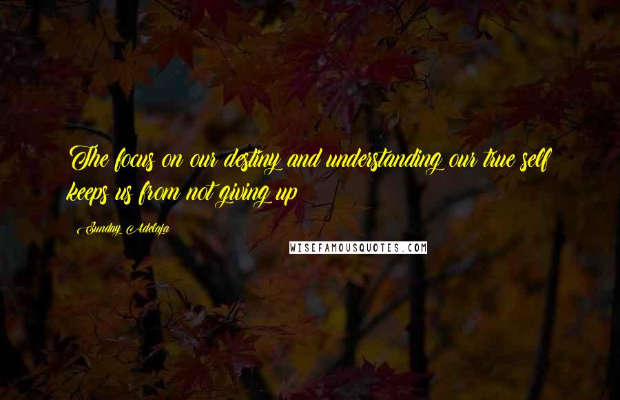 Sunday Adelaja Quotes: The focus on our destiny and understanding our true self keeps us from not giving up