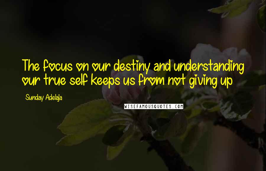 Sunday Adelaja Quotes: The focus on our destiny and understanding our true self keeps us from not giving up