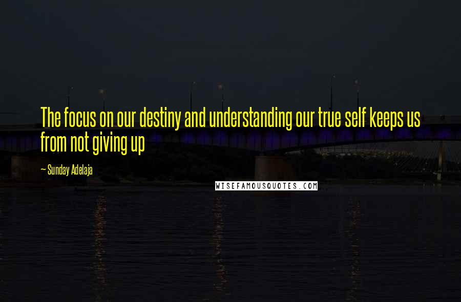 Sunday Adelaja Quotes: The focus on our destiny and understanding our true self keeps us from not giving up