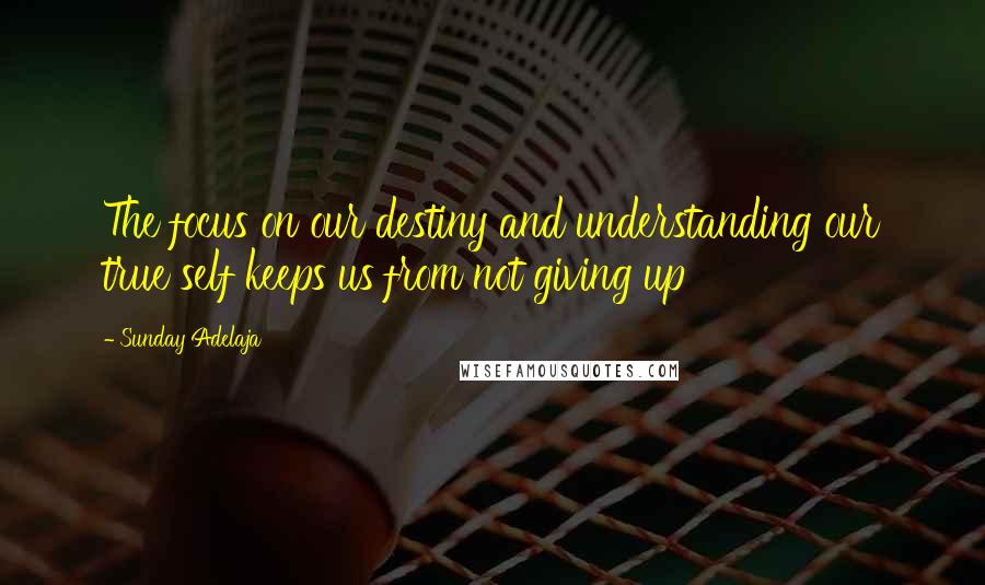 Sunday Adelaja Quotes: The focus on our destiny and understanding our true self keeps us from not giving up