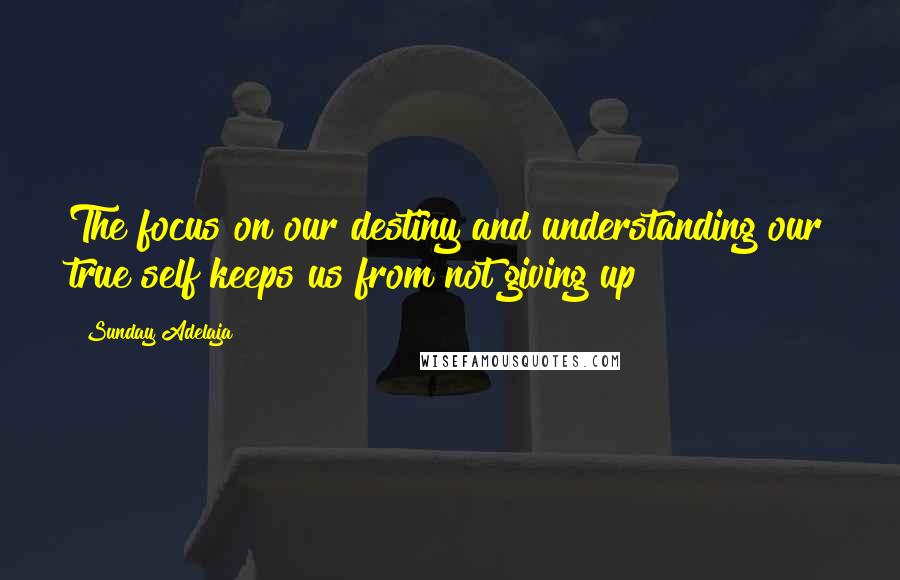 Sunday Adelaja Quotes: The focus on our destiny and understanding our true self keeps us from not giving up
