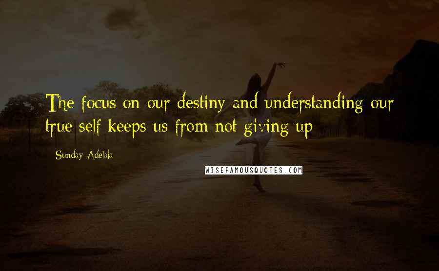 Sunday Adelaja Quotes: The focus on our destiny and understanding our true self keeps us from not giving up