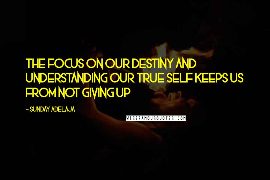 Sunday Adelaja Quotes: The focus on our destiny and understanding our true self keeps us from not giving up