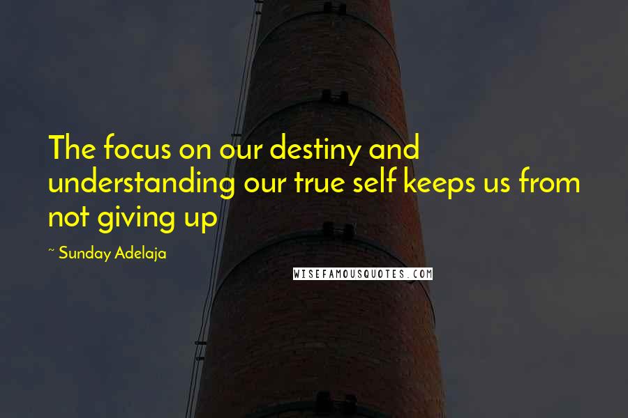 Sunday Adelaja Quotes: The focus on our destiny and understanding our true self keeps us from not giving up