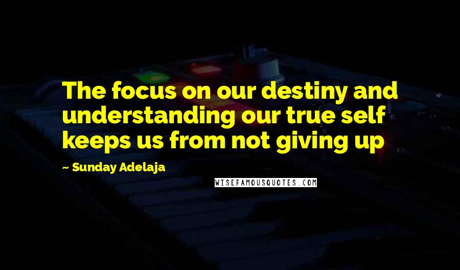 Sunday Adelaja Quotes: The focus on our destiny and understanding our true self keeps us from not giving up