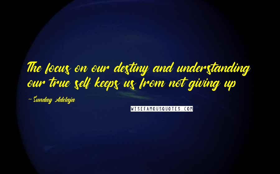 Sunday Adelaja Quotes: The focus on our destiny and understanding our true self keeps us from not giving up