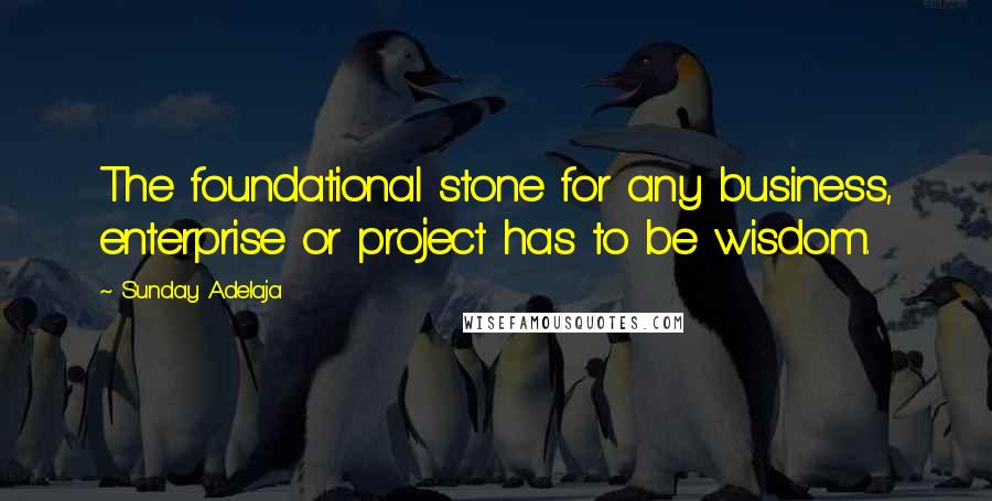 Sunday Adelaja Quotes: The foundational stone for any business, enterprise or project has to be wisdom.