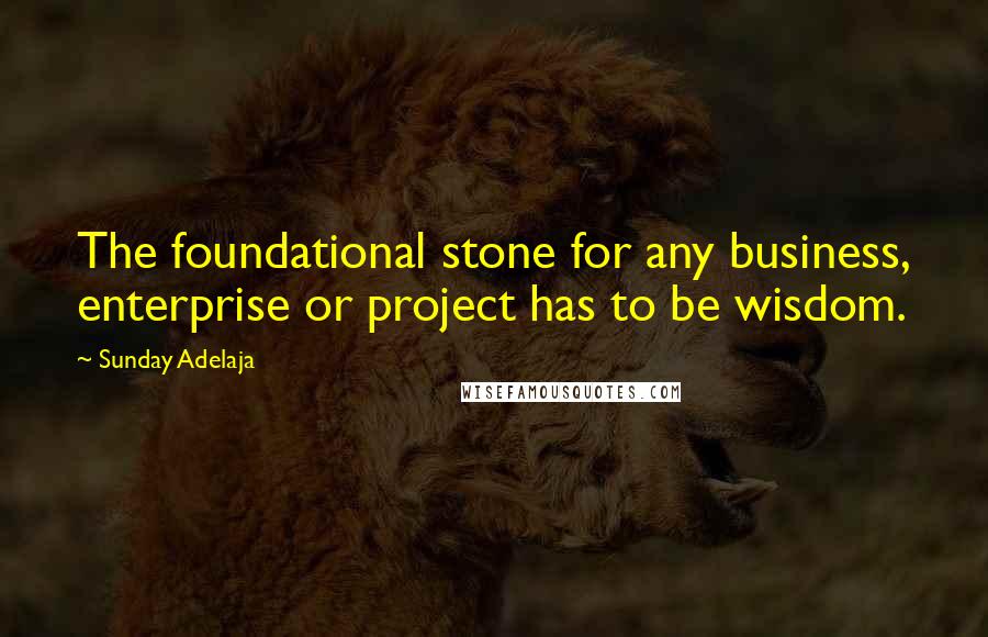 Sunday Adelaja Quotes: The foundational stone for any business, enterprise or project has to be wisdom.