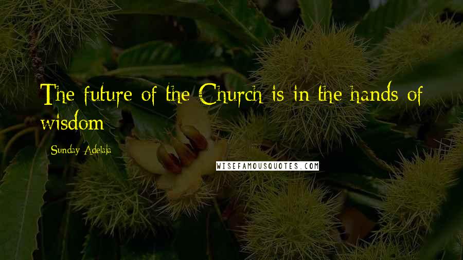 Sunday Adelaja Quotes: The future of the Church is in the hands of wisdom