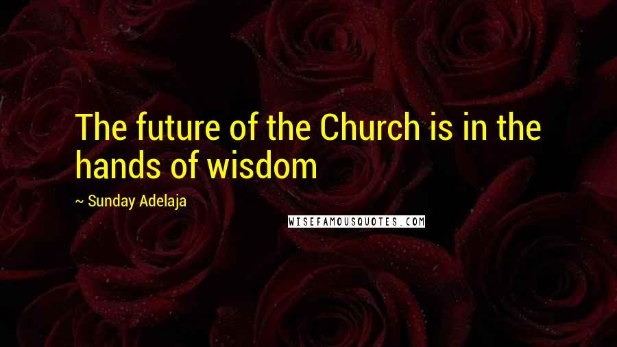 Sunday Adelaja Quotes: The future of the Church is in the hands of wisdom