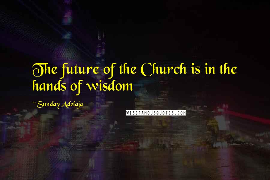 Sunday Adelaja Quotes: The future of the Church is in the hands of wisdom