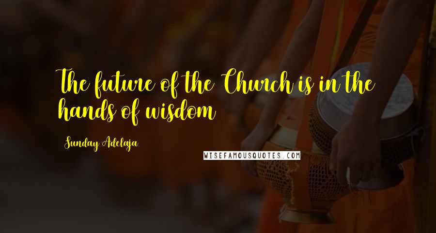 Sunday Adelaja Quotes: The future of the Church is in the hands of wisdom