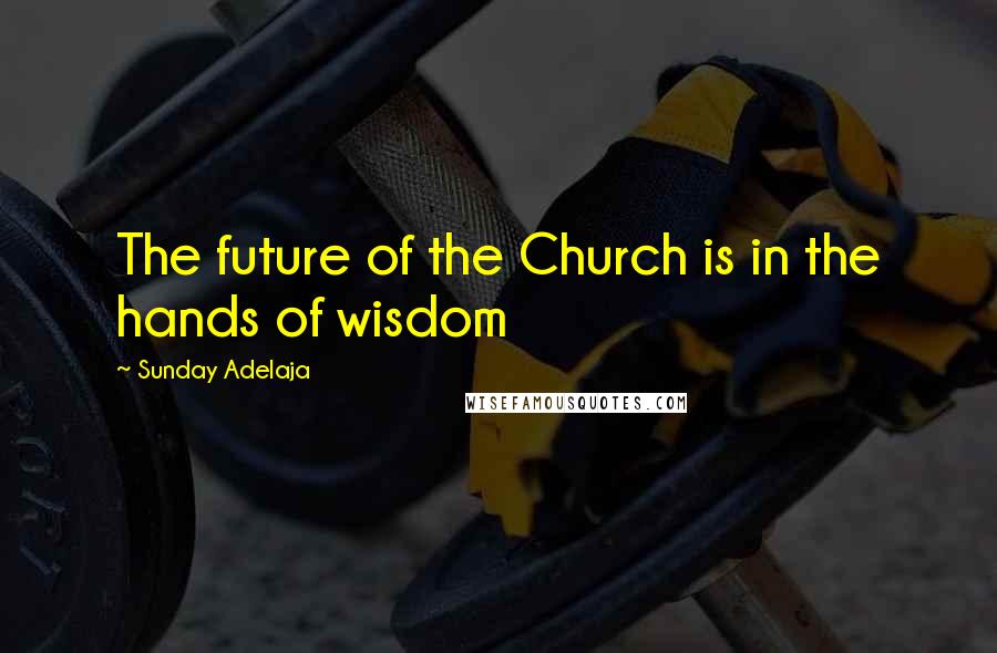 Sunday Adelaja Quotes: The future of the Church is in the hands of wisdom