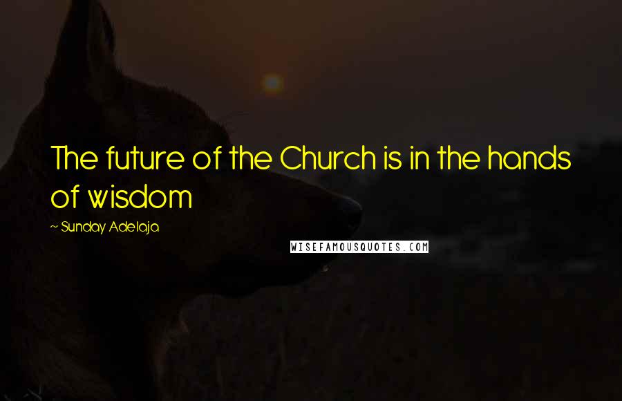 Sunday Adelaja Quotes: The future of the Church is in the hands of wisdom