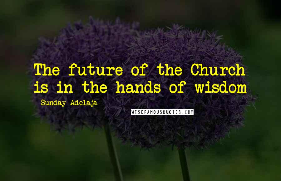 Sunday Adelaja Quotes: The future of the Church is in the hands of wisdom