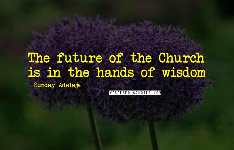 Sunday Adelaja Quotes: The future of the Church is in the hands of wisdom