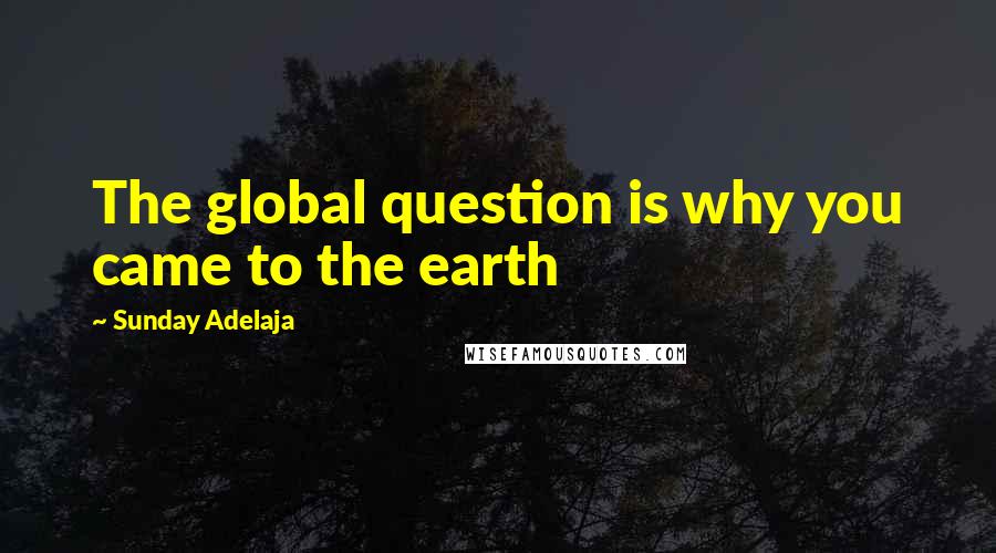 Sunday Adelaja Quotes: The global question is why you came to the earth