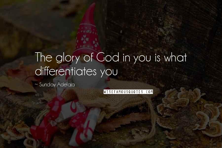 Sunday Adelaja Quotes: The glory of God in you is what differentiates you