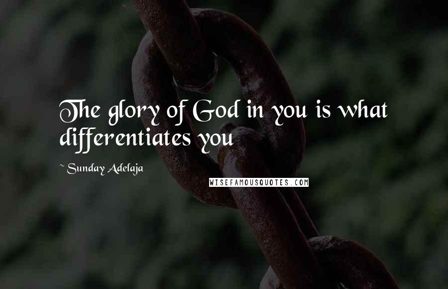 Sunday Adelaja Quotes: The glory of God in you is what differentiates you