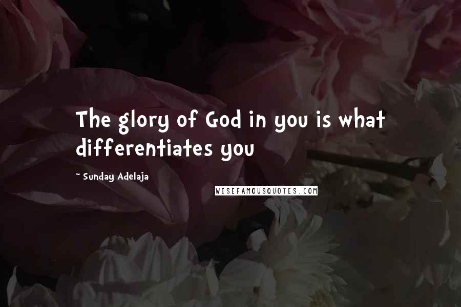 Sunday Adelaja Quotes: The glory of God in you is what differentiates you