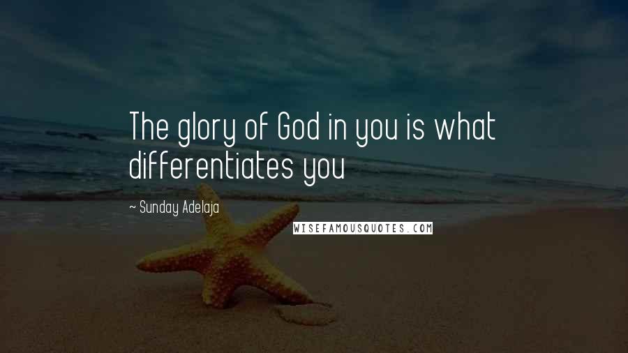 Sunday Adelaja Quotes: The glory of God in you is what differentiates you