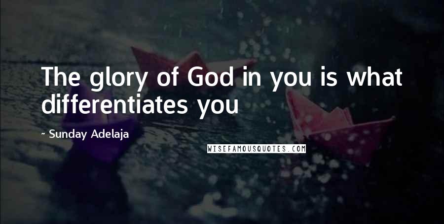 Sunday Adelaja Quotes: The glory of God in you is what differentiates you