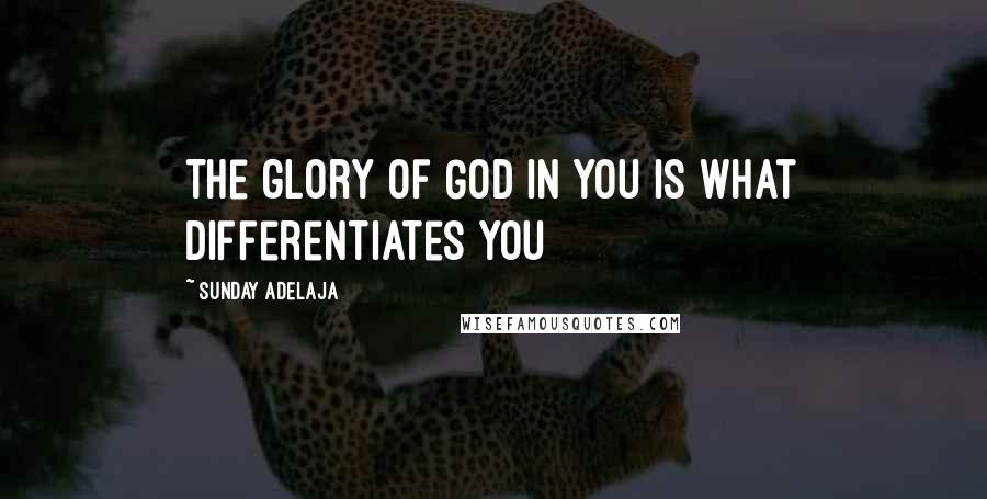 Sunday Adelaja Quotes: The glory of God in you is what differentiates you