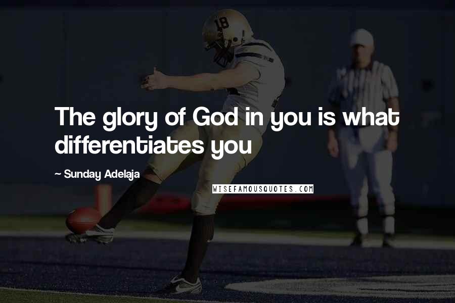 Sunday Adelaja Quotes: The glory of God in you is what differentiates you