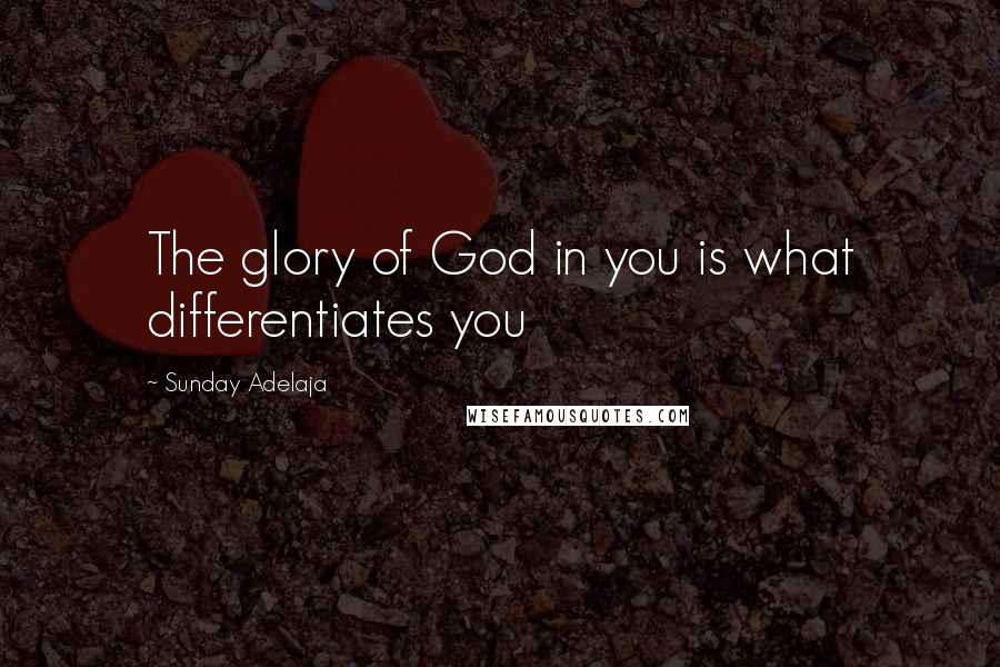 Sunday Adelaja Quotes: The glory of God in you is what differentiates you